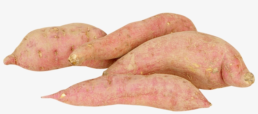 1778 X 773 - Sweet Potato Png, transparent png download