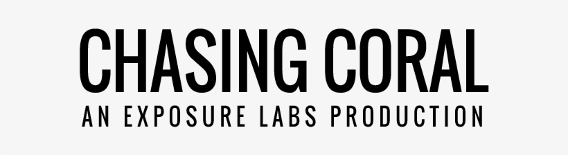 Icc World Cup 2011, transparent png download