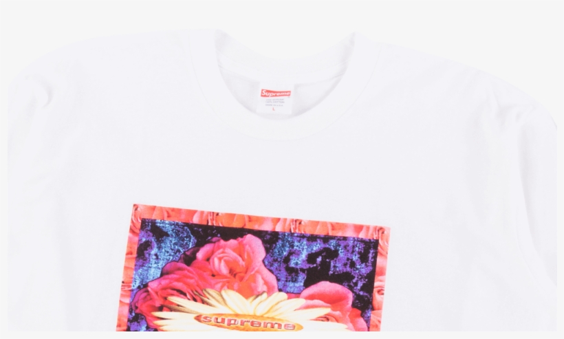 Poppy, transparent png download