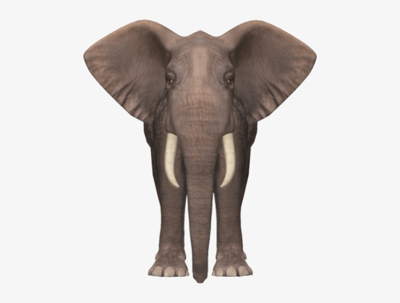 Free Png Elephant Png Images Transparent - Elephant Png, transparent png download