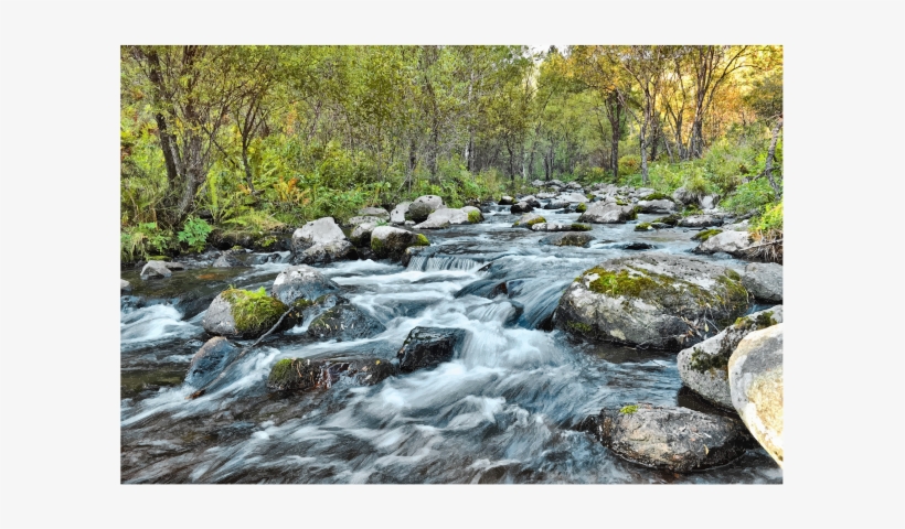 Fast Flowing In The Woods Medium Image - Fast River Journal: Blank 200 Page Journal, transparent png download