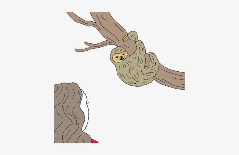 Sloth - Illustration, transparent png download
