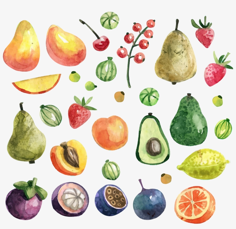 Fruit Painting Apricot Green Avocado Transprent Png - Watercolor Fruits Png Free Download, transparent png download