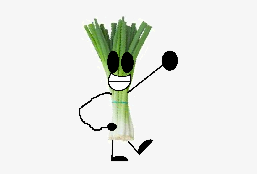 Spring Onion - Wiki, transparent png download