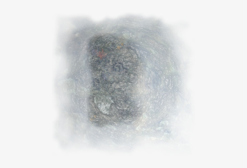 06 Feb 2009 - Sketch, transparent png download