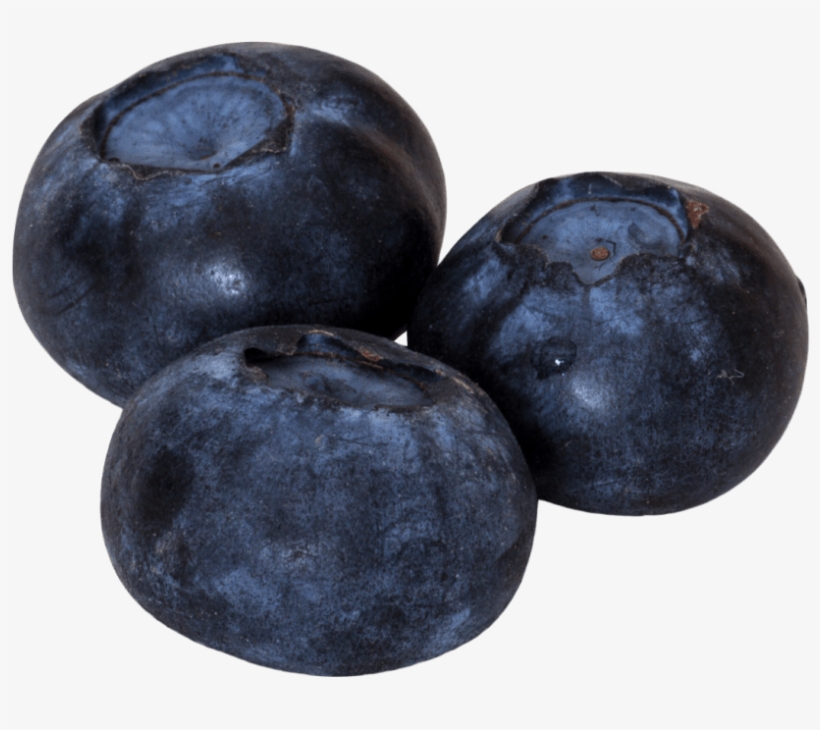 Free Png Blueberry Png Images Transparent - Blurberrys Png, transparent png download