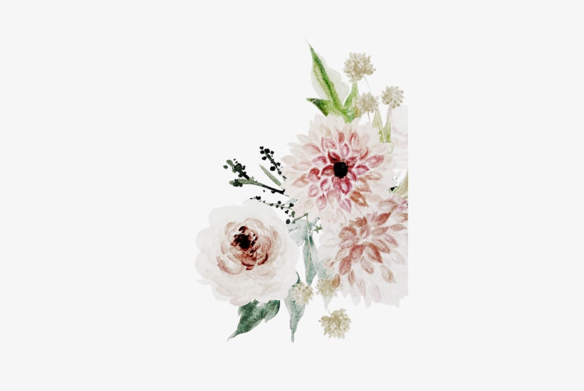 Garden Roses, transparent png download