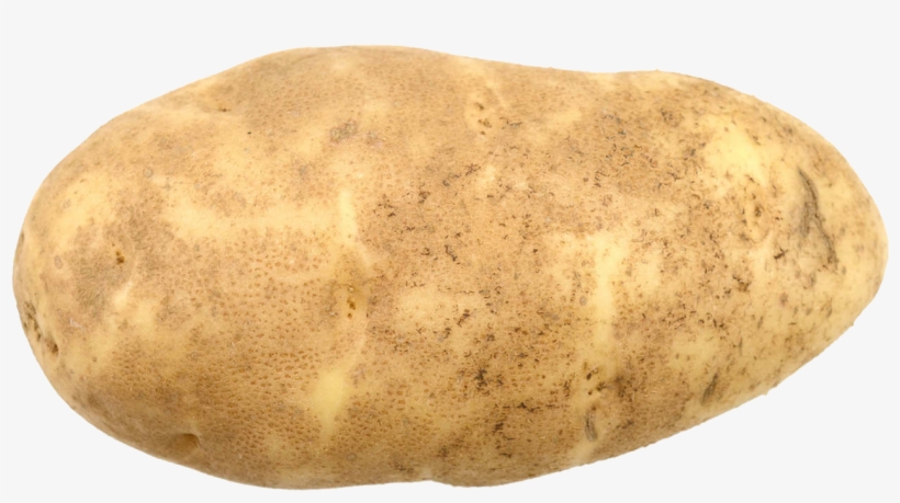 Potato Png Hd Images - Potato Hd, transparent png download