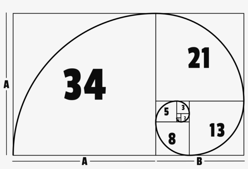 Golden Ratio Photonerds - Golden Ratio Rules Transparent PNG - 1000x657 ...