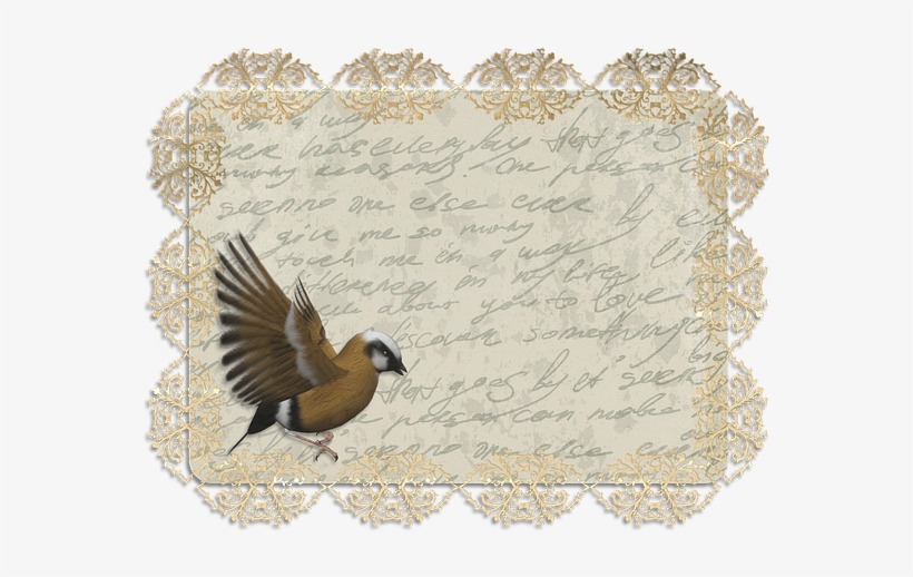 Tag, Vintage, Label, Old, Antique, Lace, Lettering - 80 Jaar Man Kaart, transparent png download