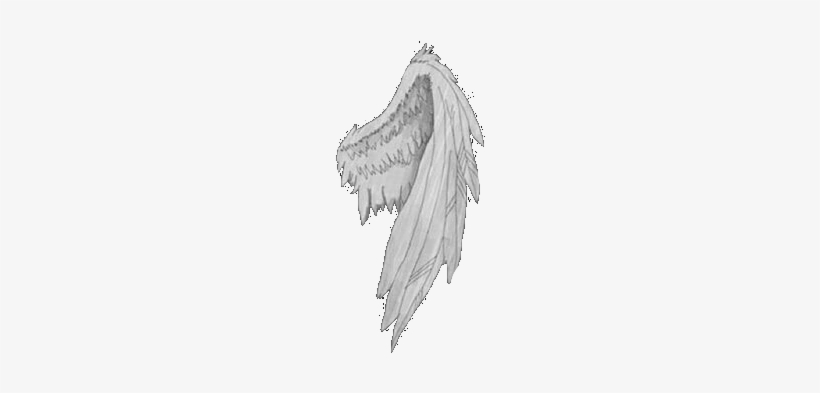 2, Angel, And Png Image - Sketch, transparent png download