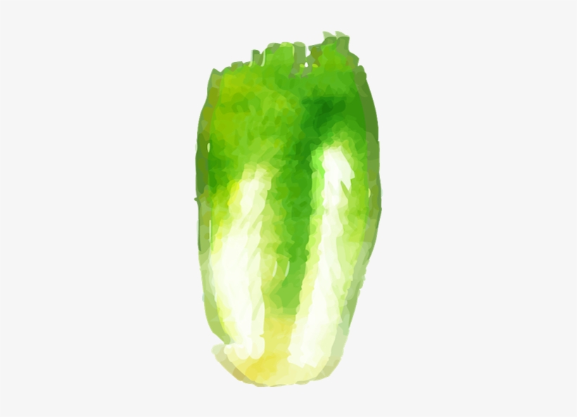 Big Boston Lettuce - Bell Pepper, transparent png download