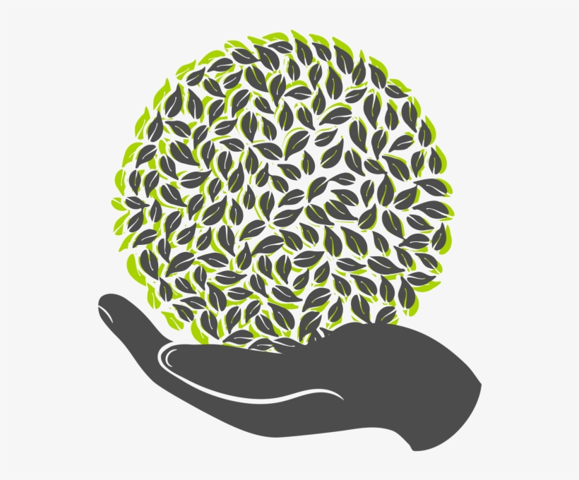 Tree In Hands Logo Vector Png - Arbol En Manos Png, transparent png download