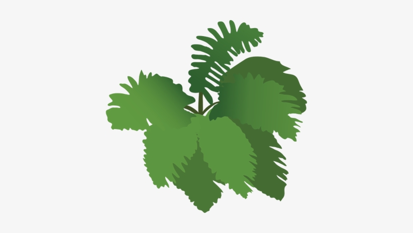 Normal Ian Symbol Fern - Plants Vector Png, transparent png download