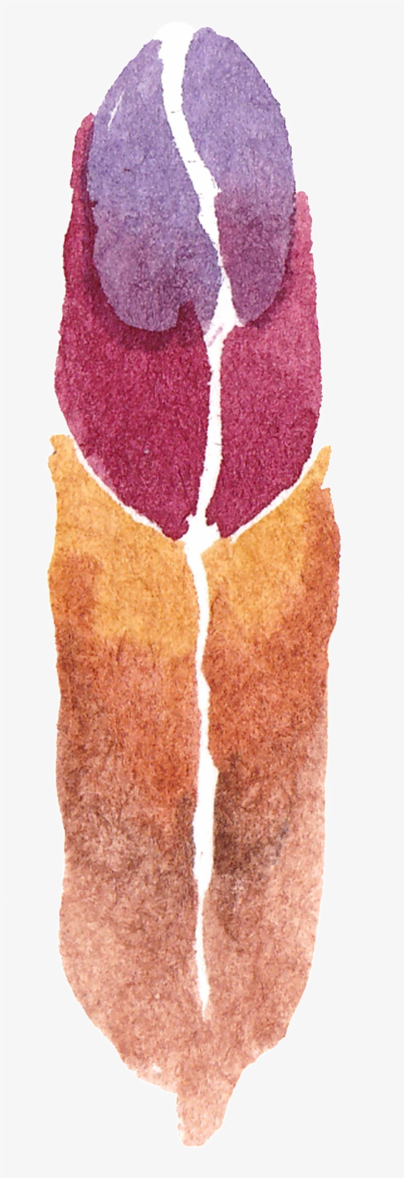 Tricolor Wing Transparent Decorative - Color, transparent png download