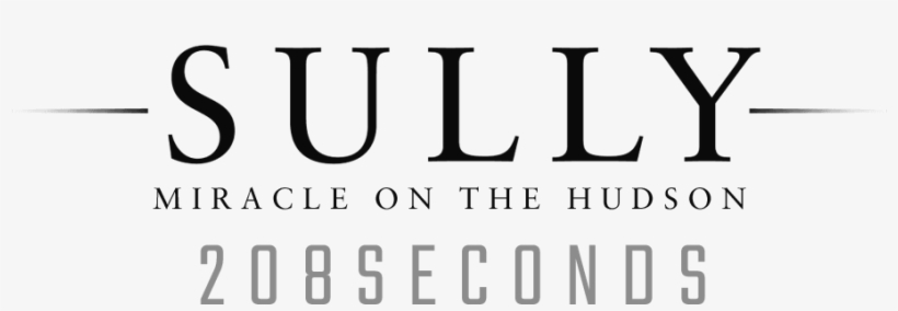 Sully 208 Seconds - Second, transparent png download