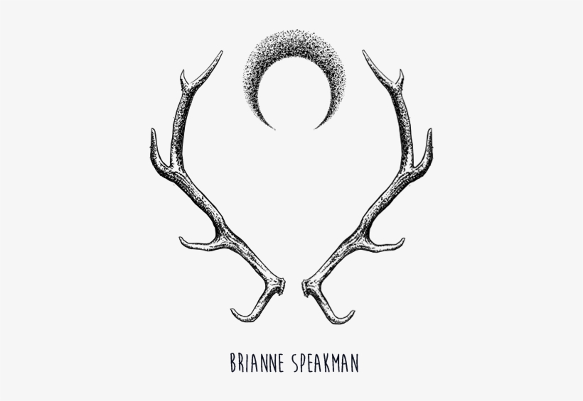 Hi There, My Name Is Brianne - Antler, transparent png download