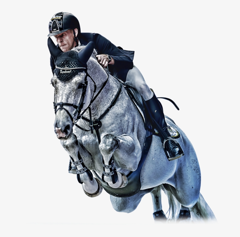 Activities And Shows For Everyone - Madrid Horse Week, transparent png download