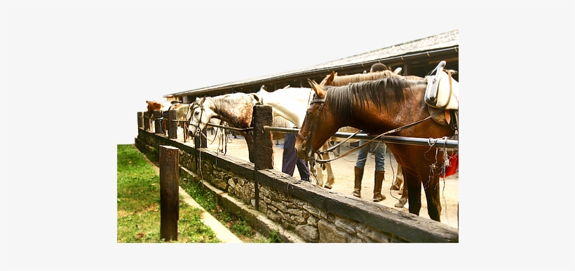 Interior De Alojamientos Rurales Pedrazales - Pedrazales De Sanabria, transparent png download