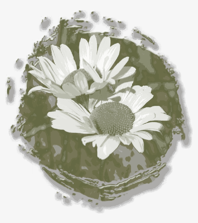 Mb Image/png - Flower, transparent png download