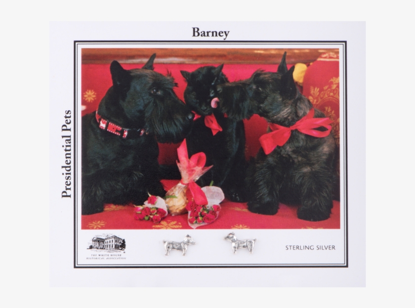 More Views - White House Historical Association Barney Earrings, transparent png download