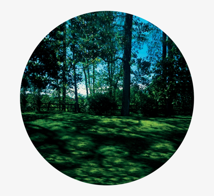 Meadow - Apollo Meadow Glass Gobo Cs-0109, transparent png download