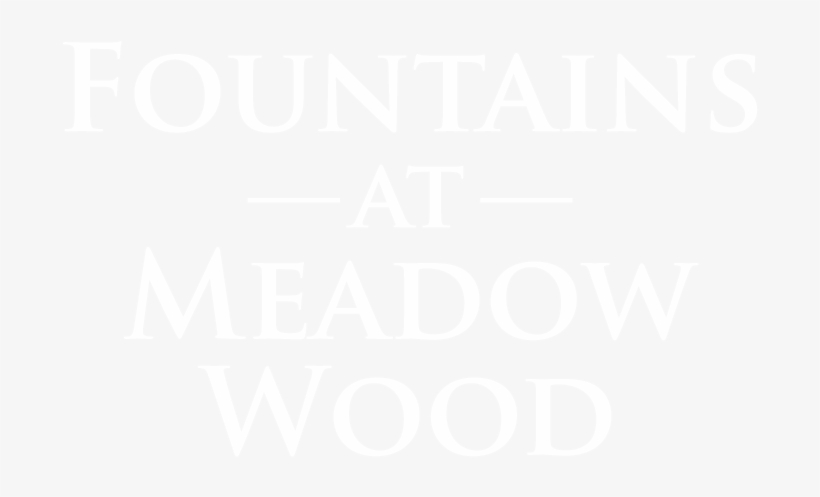 Clarksville Property Logo - Leinster Rugby Logo White, transparent png download