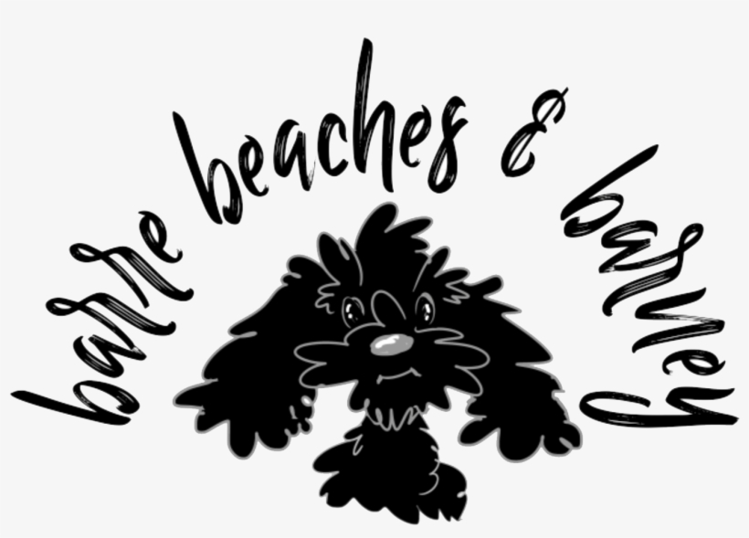 Beach, transparent png download