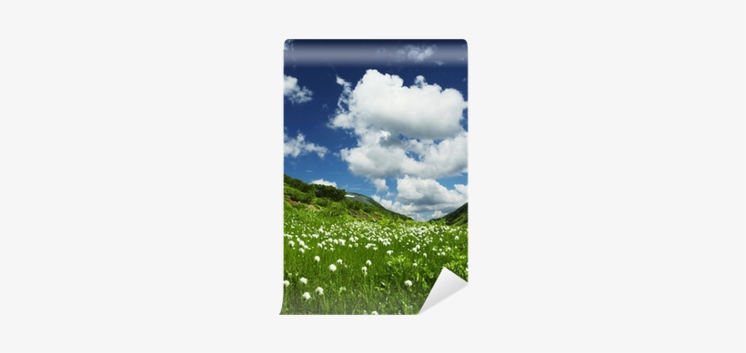 Extended Range Photo Realistic Backdrop - 9497, transparent png download