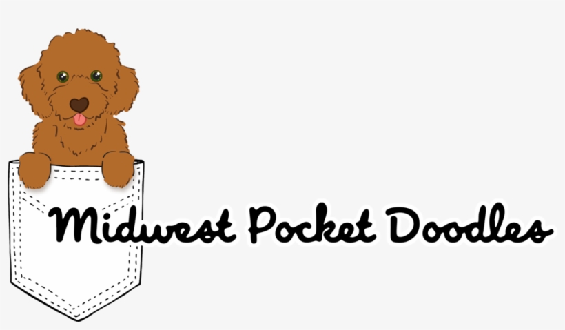 Midwest Pocket Doodles 2 - Portable Network Graphics, transparent png download