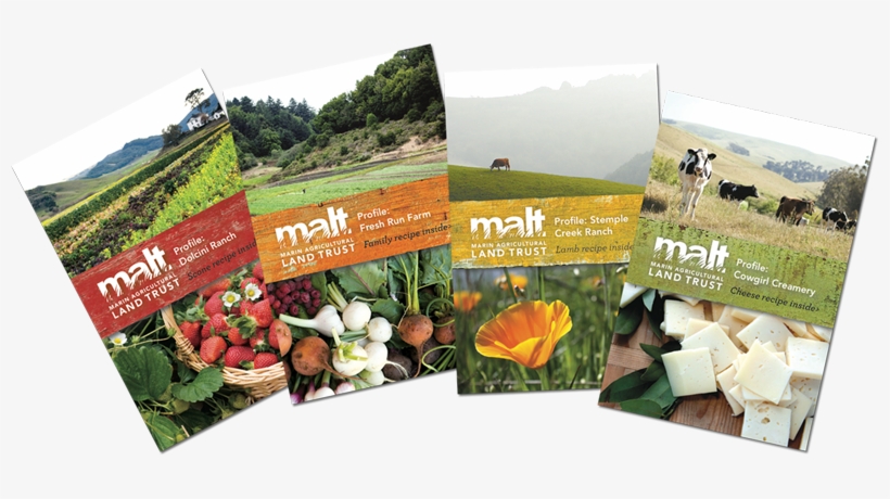 Malt Pocket Brochures, transparent png download
