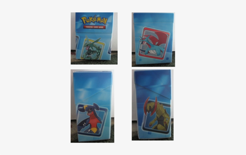 Salamence - Rayquaza - Garchomp - Collection, transparent png download