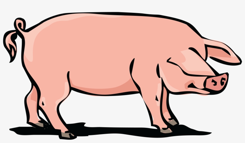 , , - Clipart Pork Png, transparent png download