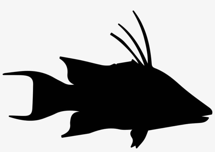 Fish Hog Snapper Shape Comments - Porco Vetor Icone Png, transparent png download