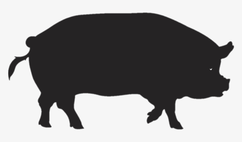 Pork Clipart Pig Tail - Icono Jabali, transparent png download