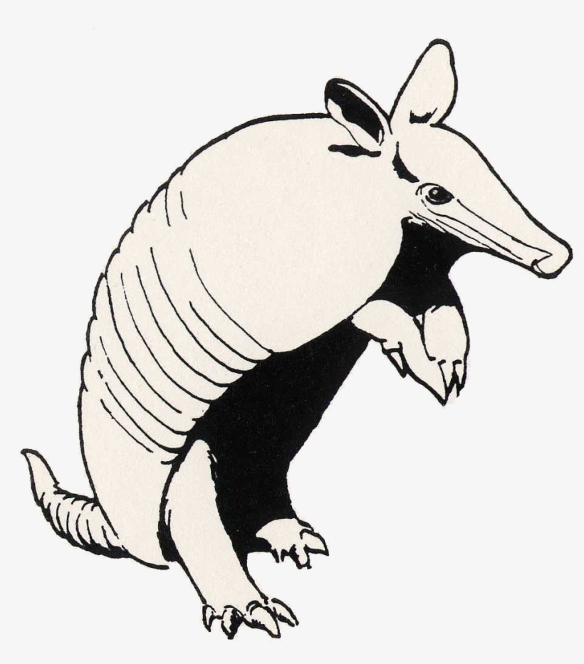 Home - Solution, transparent png download