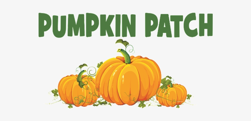 Pumpkin Patch Png - N-01d Medias Pp /101n Medias Ch 【2個以上 送料無料】 インパクト/ハロウィン, transparent png download