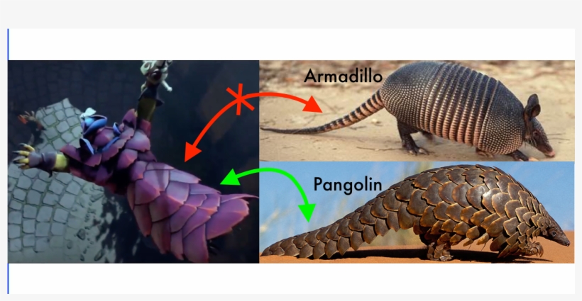 Evidence That The New Hero Is A Pangolin And Not An, transparent png download