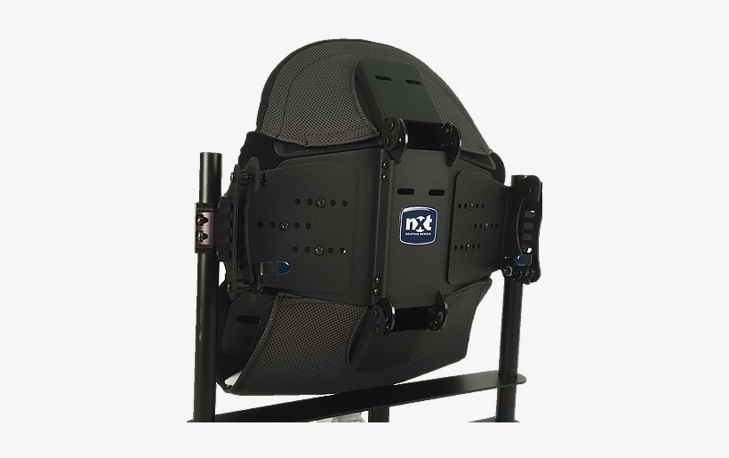 Optima Armadillo Back - Armadillo, transparent png download