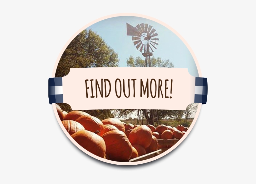 Michigan Birthday, Group Tours, & Corporate Events - Poster: John's A Near-silhouette Of An Old Windmills, transparent png download