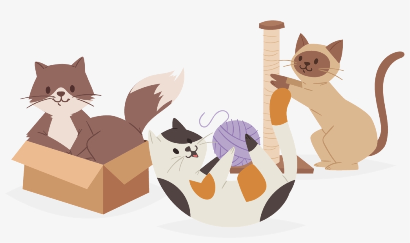 Take The Quiz To Separate The Cool Cats From The Fiercely - Illustration, transparent png download