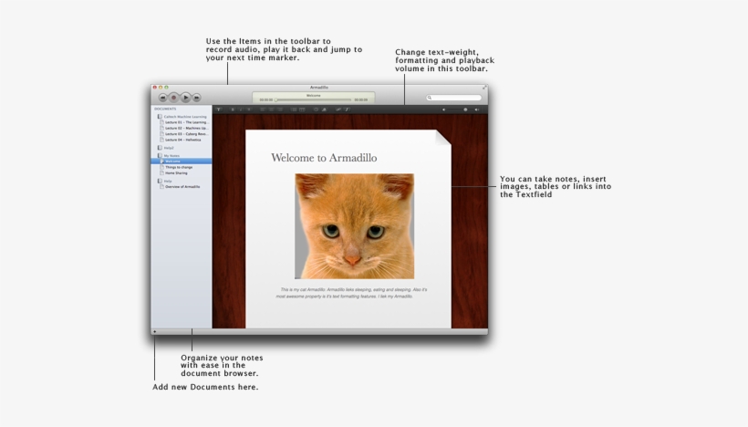 Armadillooverview - Pussy Cat: Labyrinths [book], transparent png download