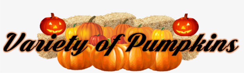 The Grove Of Old Town Clovis Pumpkin Patch Has Grown - Floracraft Straw Bales, 2 1/2-inch-by-1 1/4-inch-1-inch, transparent png download