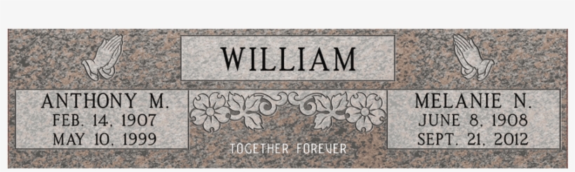 More Views - Label, transparent png download