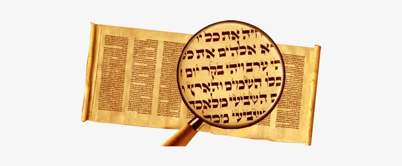 Torah Scroll After Separating Every Parasha, Printing - Document, transparent png download