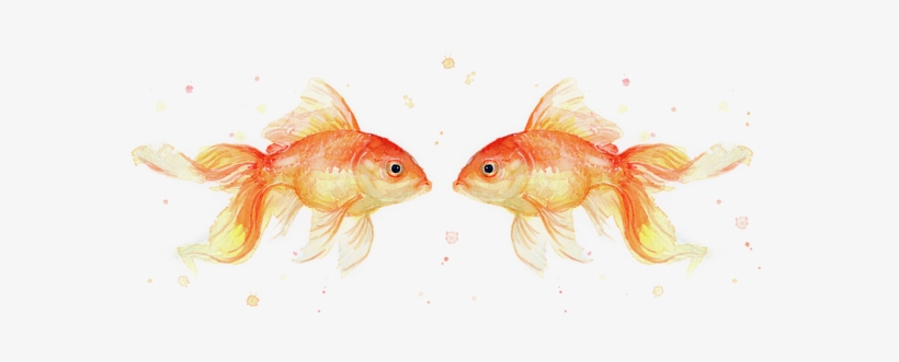 Click And Drag To Re-position The Image, If Desired - Top View Watercolor Goldfish, transparent png download