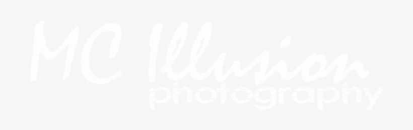 Making Your Illusion A Reality, transparent png download