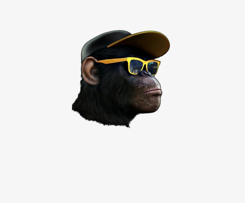 Share This Image - Monkey Hipster Png, transparent png download