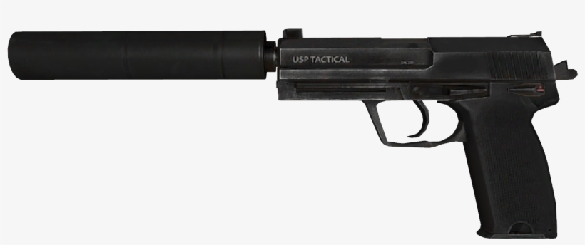 Looks Like You Used The Wrong Usps - Csgo Usp, transparent png download