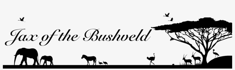 Santa Barbara Zoo, transparent png download